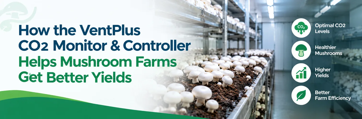 How the VentPlus CO2 monitor and controller helps mushroom farms get better yields